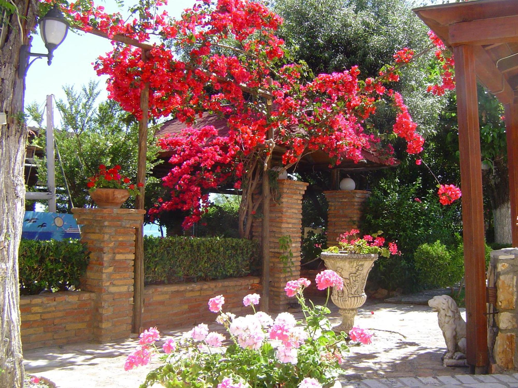 Castella Beach Hotel Alissos Exterior photo